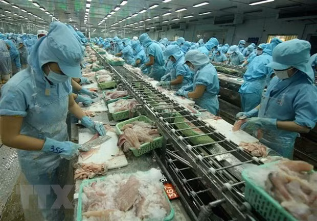 Amplían oportunidades de exportación de productos agrícolas vietnamitas a Polonia ảnh 1