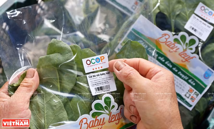 Hanoi realiza cinco tareas clave para garantizar la seguridad alimentaria ảnh 2