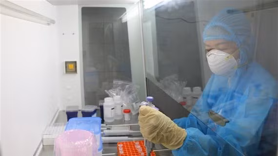 Vietnam reporta otros 73 casos autóctonos de COVID-19 ảnh 1