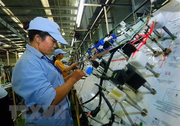 Destaca periódico alemán desarrollo económico de Vietnam ảnh 1