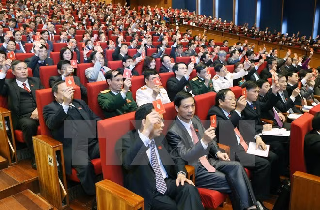 Vietnamitas en Argelia y República Checa confían en éxitos de Congreso del PCV ảnh 1