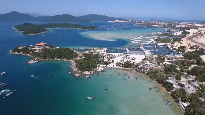 Instan a explotar con eficiencia potenciales de la zona económica del centro de Vietnam ảnh 1