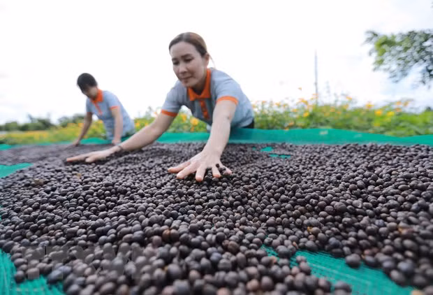 Recuperación económica de Vietnam prosigue segura pese a inestabilidad global ảnh 1