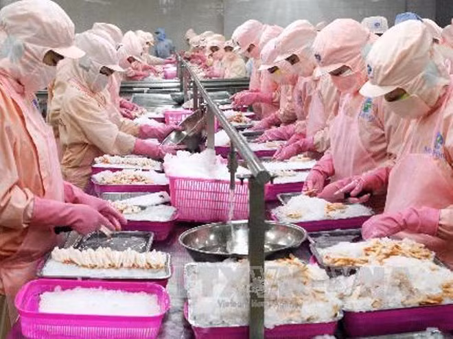 Incrementa Vietnam exportaciones acuícolas en primeros ocho meses ảnh 1