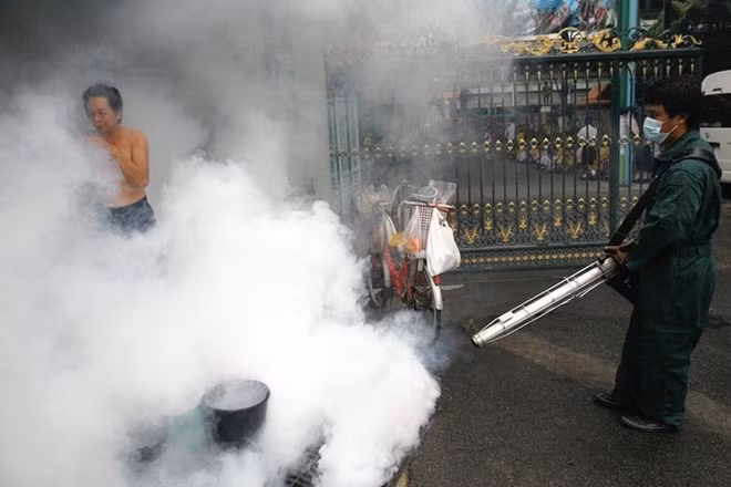 Alcalde de Bangkok alerta sobre propagación del dengue ảnh 1