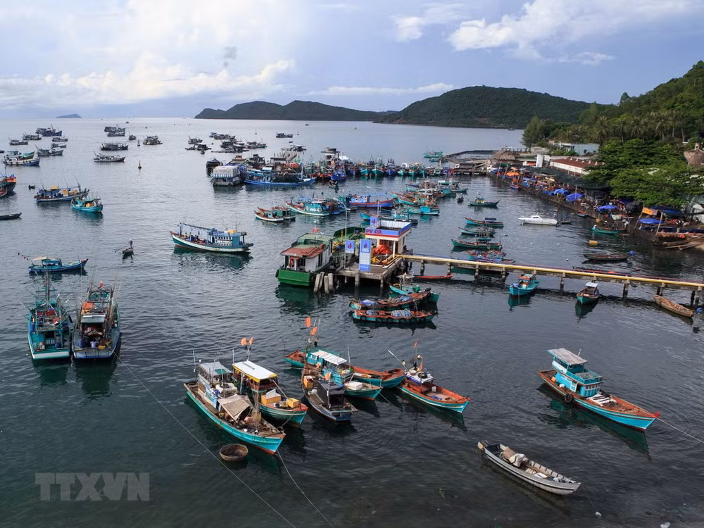 Provincia vietnamita de Kien Giang amplía cooperación internacional ảnh 1