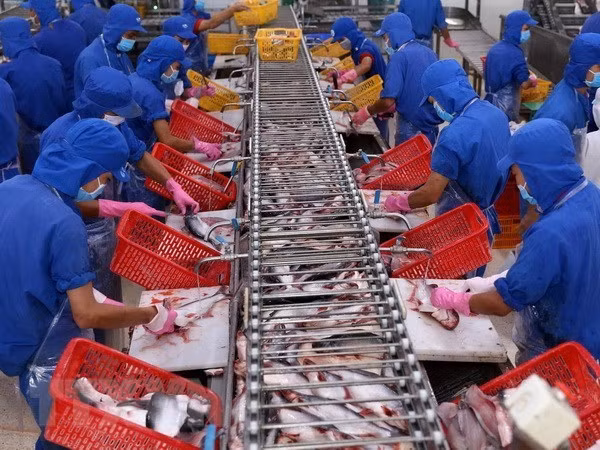 Exportación de productos acuícolas de Vietnam alcanza 5,5 mil millones de dólares ảnh 1