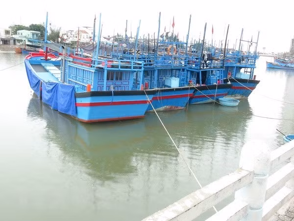 Vicepremier de Vietnam revisa labores de preparación ante llegada de tifón Mangkhut ảnh 1