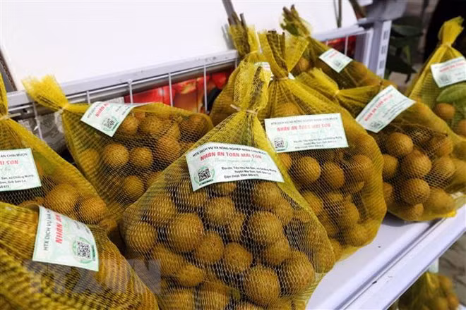 Vietnam promueve sus productos en mercado africano ảnh 1