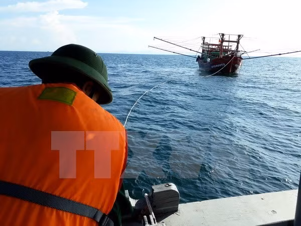 Rescatan a marineros accidentados en zona de pesca común entre Vietnam y China. ảnh 1