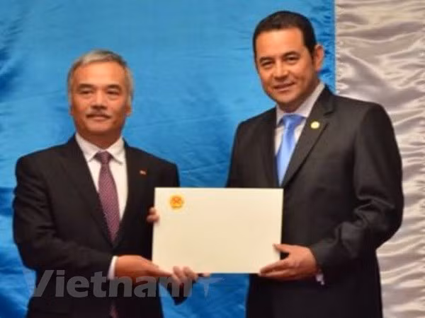 Presidente guatemalteco aprecia desarrollo sostenible de Vietnam ảnh 1