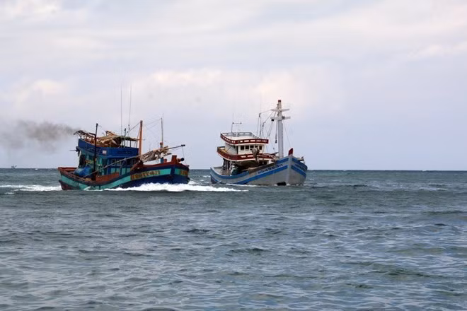 Corea del Sur y Vietnam fortalecen intercambio de experiencias en gestión de pesquería ảnh 1