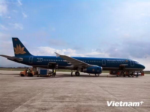 Vietnam Airlines abrirá ruta directa Da Nang- Osaka ảnh 1