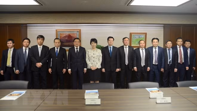 Alto funcionario del Partido Comunista de Vietnam realiza visita de trabajo a Japón ảnh 1