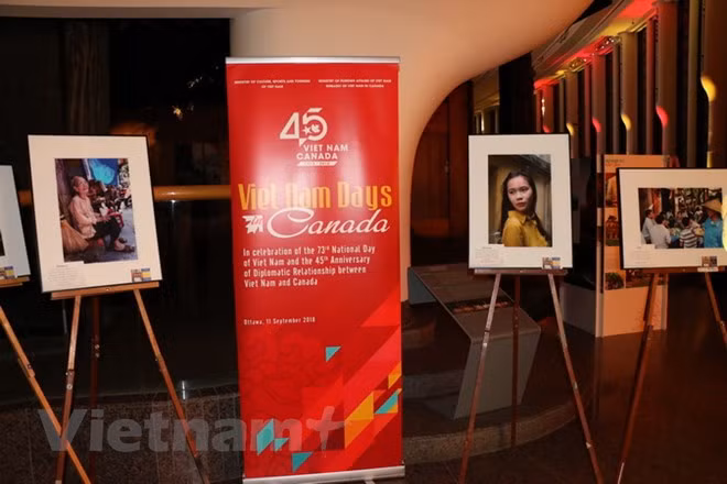 Realizan varias actividades en ultramar para conmemorar Día Nacional de Vietnam ảnh 1