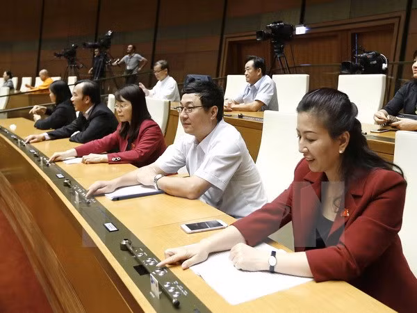 Parlamento aprueba Resolución sobre desarrollo socioeconómico en 2017 ảnh 1