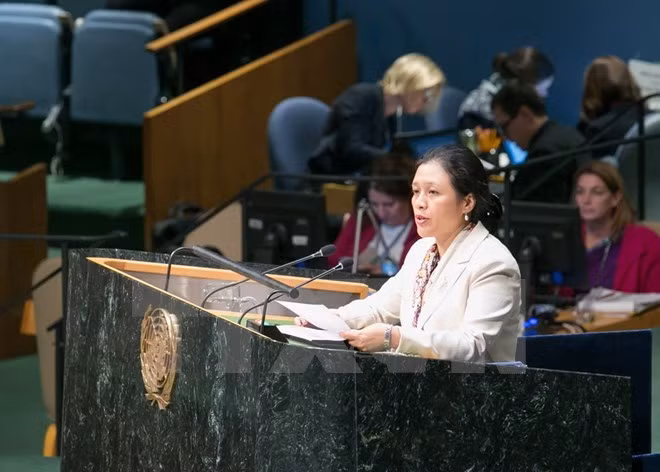 Vietnam ratifica compromiso de garantizar y promover derechos humanos ảnh 1