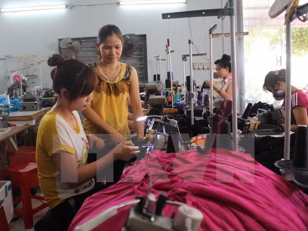 Vietnam esfuerza para proteger derechos de trabajadores migrantes ảnh 1