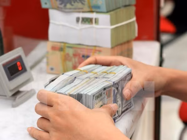 BEV se compromete a mantener tipo de cambio ảnh 1 BEV se compromete a mantener tipo de cambio ảnh 1