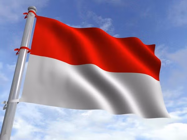 Vietnam felicita a Indonesia por su Día Nacional ảnh 1