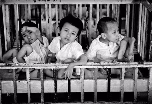 Promueven movilización de recursos a favor de víctimas del Agente Naranja en Vietnam ảnh 2