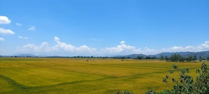 Krong No, el lugar en el que se cultiva arroz en suelo volcánico ảnh 1