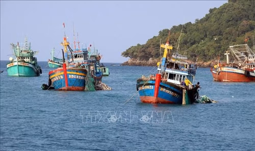 Provincias vietnamitas colaboran por luchar contra IUU ảnh 1