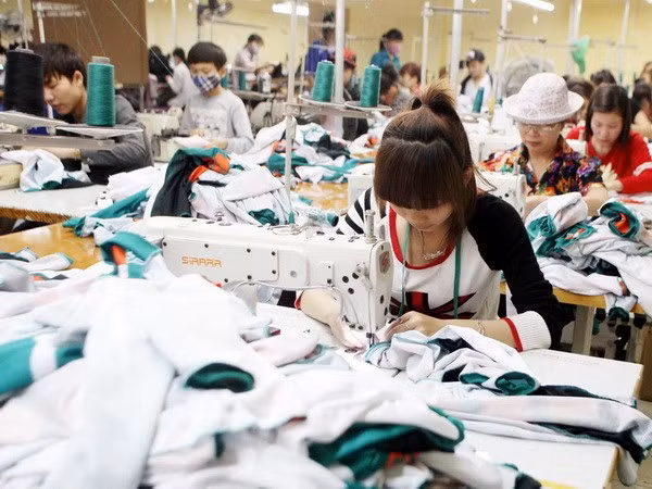 Celebrarán exposición internacional de sector textil en Vietnam ảnh 1