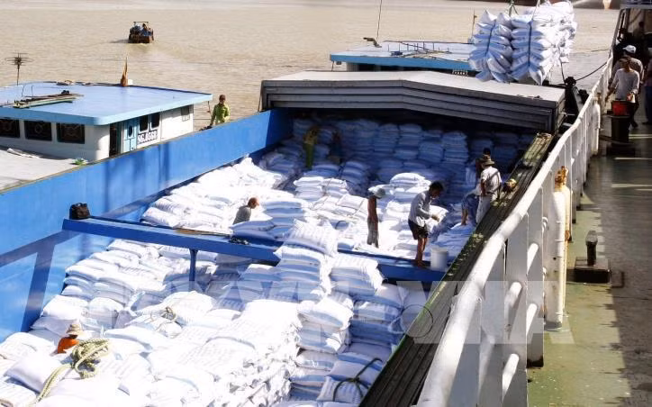 Exportaciones arroceras de Vietnam aumentan un 20 por ciento en siete meses ảnh 1