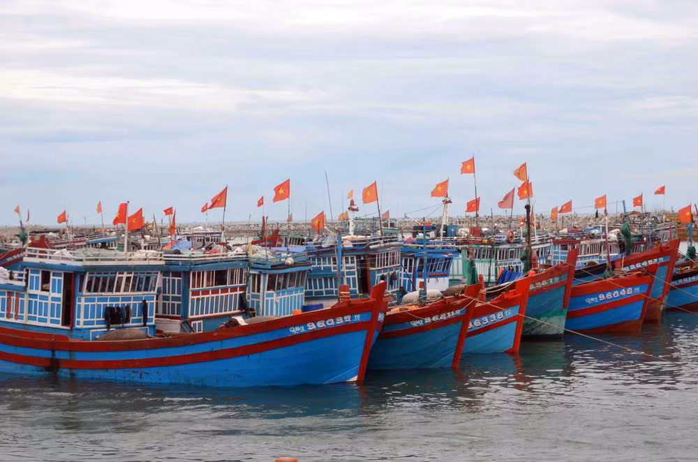 Destacan esfuerzos de provincia vietnamita en lucha contra pesca ilegal ảnh 1