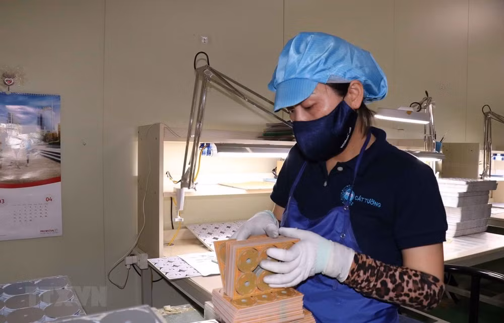 Apoyan a pequeñas y medianas empresas de Ciudad Ho Chi Minh en reanudación de actividades ảnh 1