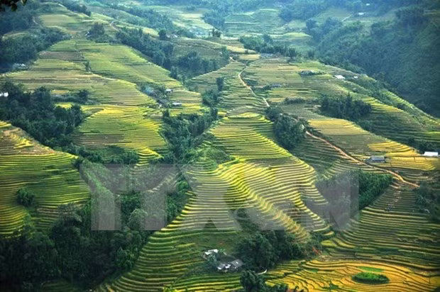 Sapa ofrece múltiples descuentos para impulsar el turismo local ảnh 1