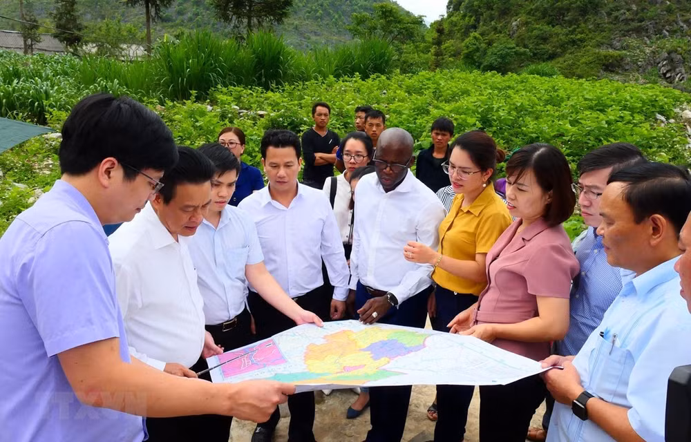 Establecen provincia vietnamita y Banco Mundial cooperación estratégica en 2020-2025 ảnh 1