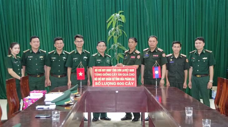Provincia vietnamita entrega plántulas frutales a Laos ảnh 1