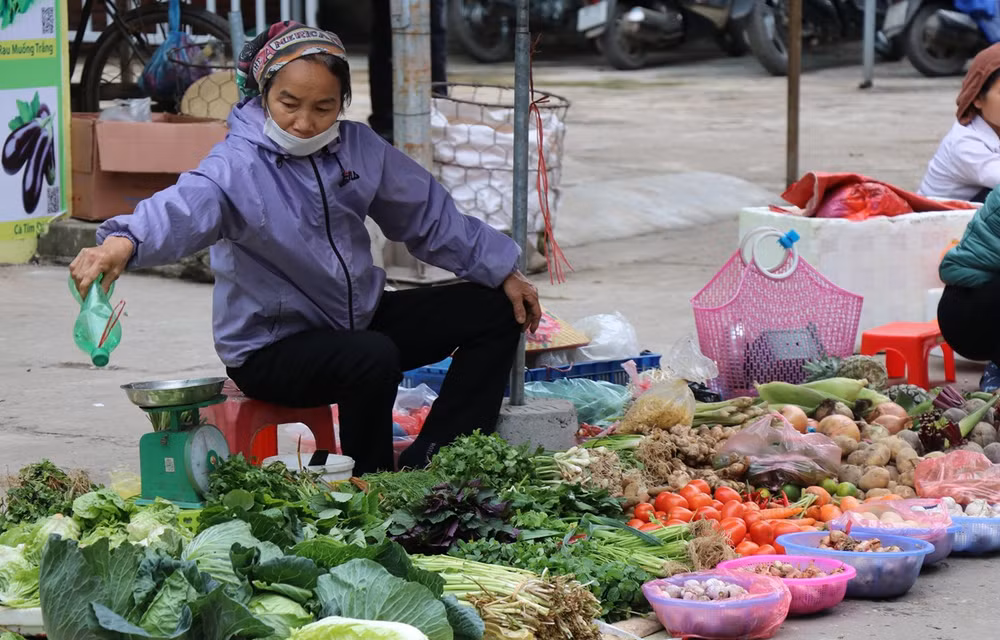 Provincia vietnamita de Vinh Phuc ofrece asistencia a pobladores afectados por el COVID-19 ảnh 1 Provincia vietnamita de Vinh Phuc ofrece asistencia a pobladores afectados por el COVID-19 ảnh 1