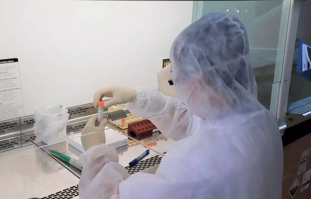 Empresa vietnamita alcanza éxitos iniciales en prueba de vacuna antiCovid-19 en ratones ảnh 1