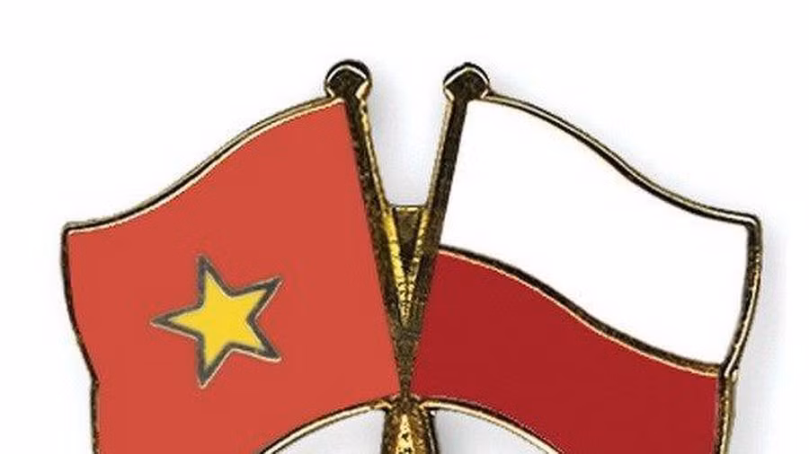 Felicita Vietnam a Polonia por su Día Nacional ảnh 1