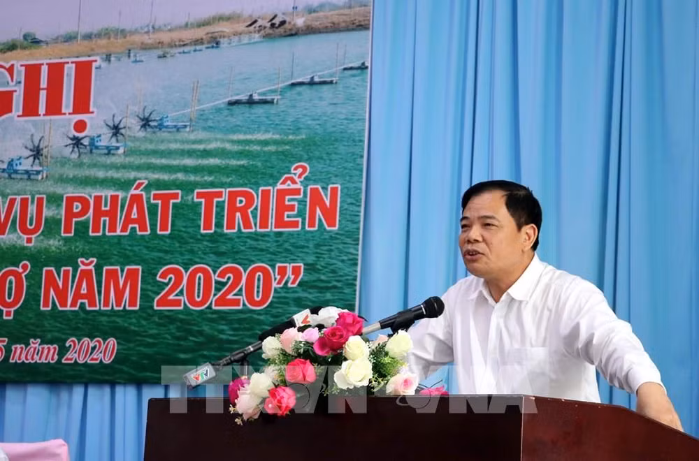 Exportadores de camarón de Vietnam aspiran superar los tres mil millones de dólares ảnh 1
