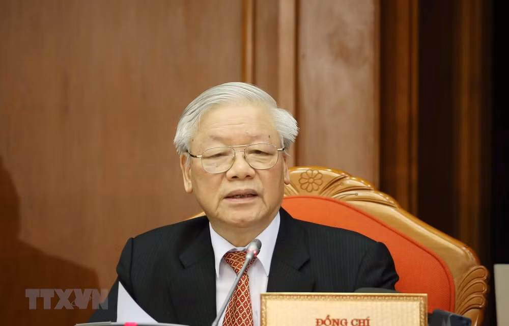Máximo dirigente vietnamita elogia desempeño de organizaciones e individuos en lucha contra desastres naturales ảnh 1