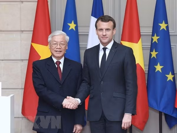 Vietnam es socio natural de Francia, analizan expertos ảnh 1
