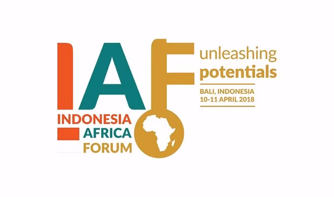 Indonesia interesada en promover cooperación económica con África ảnh 1