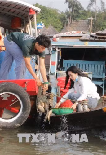 Ciudad vietnamita libera decenas de toneladas de alevines a hábitat natural ảnh 1