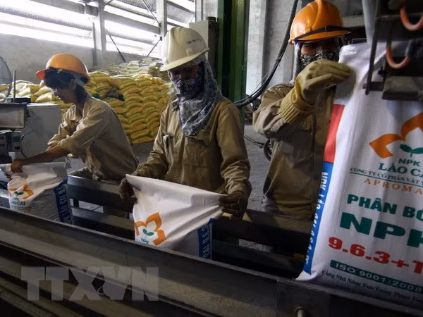 Vietnam busca mejorar la seguridad e higiene en el trabajo para los jóvenes ảnh 1