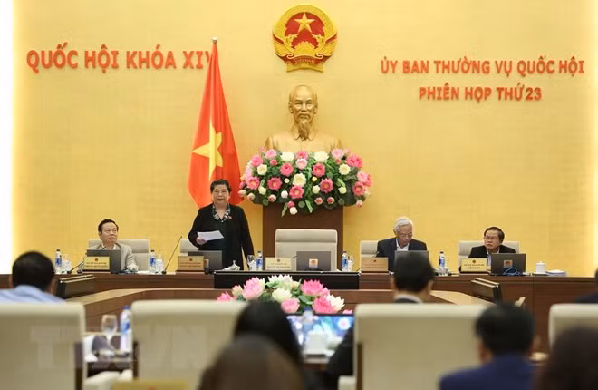 Debate Parlamento de Vietnam sobre políticas preferenciales en unidades administrativas-económicas especiales ảnh 1