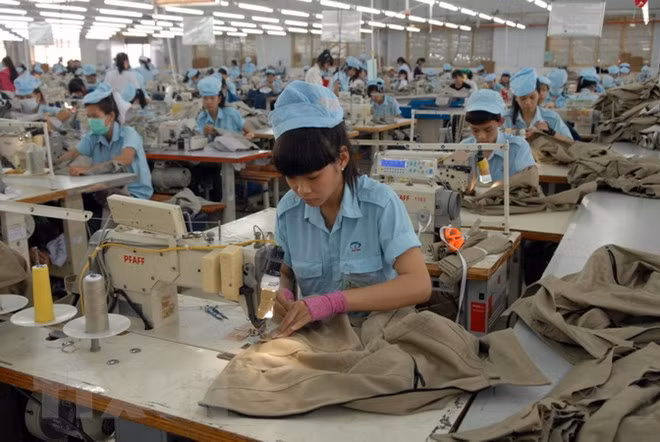 Tien Giang muestra aumento de más del 24 por ciento en sus exportaciones ảnh 1