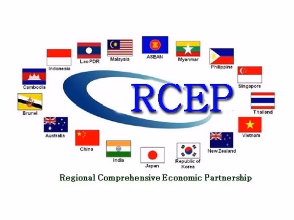 Avanzan negociaciones del Acuerdo de RCEP, asevera el Ministerio de Comercio de China ảnh 1