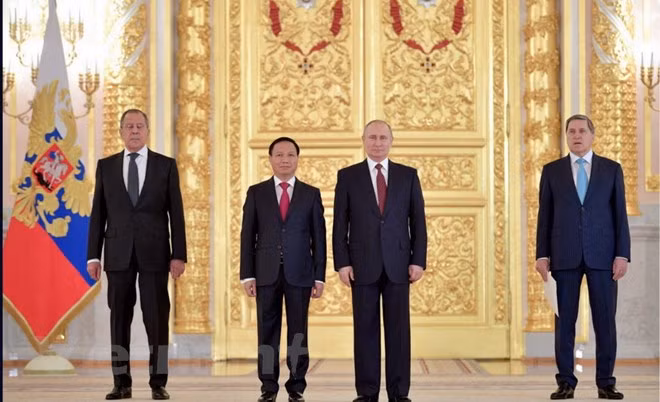 Vladimir Putin destaca desarrollo de relaciones Vietnam-Rusia ảnh 1