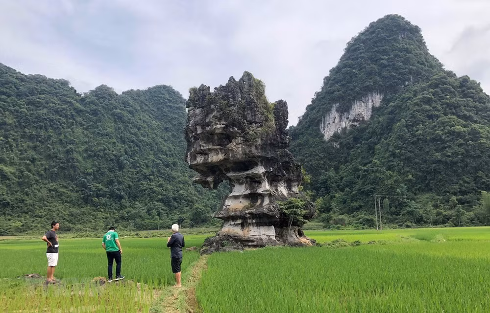 Aprecia UNESCO esfuerzos de Vietnam por preservar geoparque global Non Nuoc Cao Bang ảnh 1