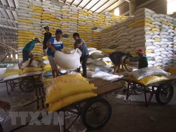 África sigue siendo un mercado potencial para Vietnam en medio del COVID-19 ảnh 1