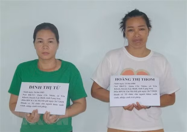 Detienen a dos sujetos involucrados en red de transporte de inmigrantes ilegales a Vietnam ảnh 1